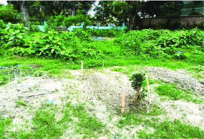 Image of মো: সুমন সেখ